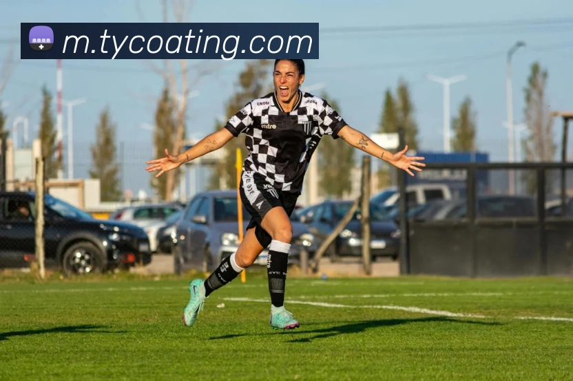 太阳城网站平台生态图